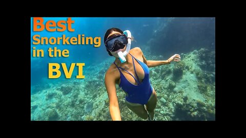 Best Snorkeling in the BVI - S7:E3