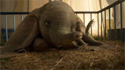 Do Critics Like 'Dumbo'?