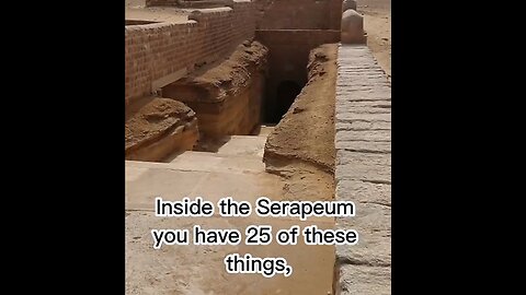 Inside The Serapeum You Have 25 of These Things