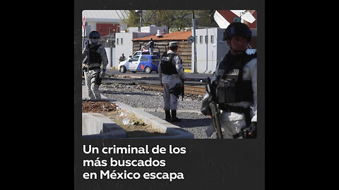 Esca para uno de los criminales más buscados de la Ciudad de México