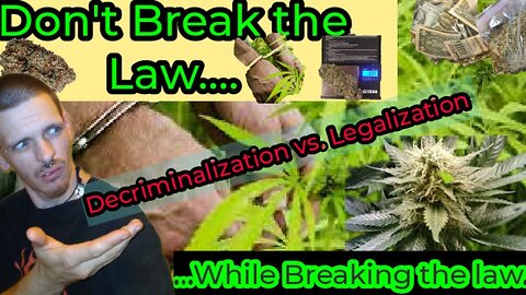 Rules of Cannabis Culture During Prohibition - Dont Break the Law, While your Breaking the Law 🤔