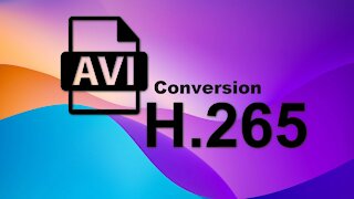 How to Convert AVI to H.265