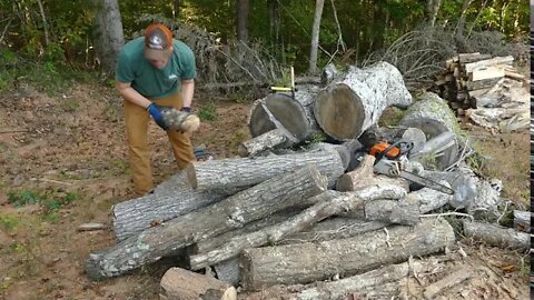 #187 Splitting Small Logs I've Had Laying Around Since April