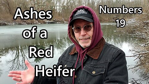 Ashes of a Red Heifer: Numbers 19