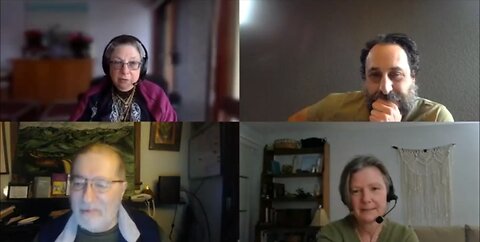 About the non existence of viruses - Rima Laibow interviews Christine Massey and Mike Wallach