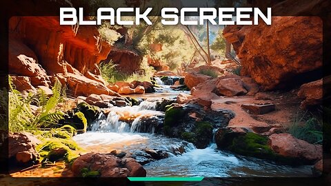 Water Stream Sounds in a Deep Canyon Bird Sounds ASMR Sleep Sounds Black Screen 8 Hours 4K