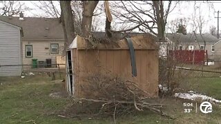 Tree removal companies swamped days after multiple storms hit metro Detroit