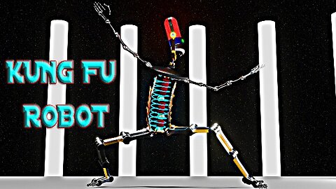 Kung Fu Robot