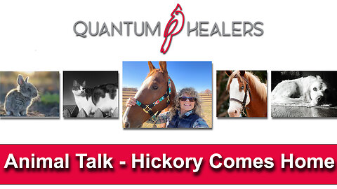 Animal Talk Ep. 3: Hickory Comes Home