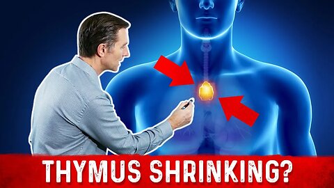 Why Does Our Thymus Shrink to Nothing As We Age?