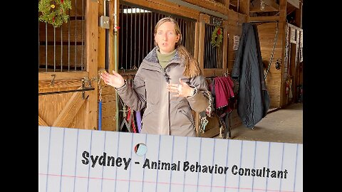 Animal Behavior Consultant Sydney from Sympatico Animal Behavior, working with Fable