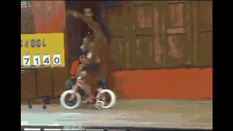 cute and funny monkey videos with bike