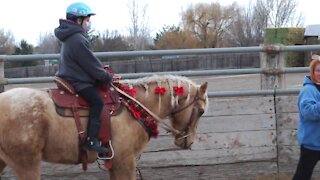 Make-A-Wish Idaho grants Nampa girl a horse in time for the holidays