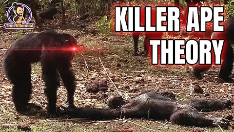 What does the Killer Ape Theory say about humankind?