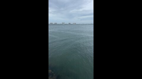 Still before the storm at Biscayne Bay