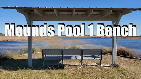 St. Marks NWR Mounds Pool 1 Bench - Winter 2022