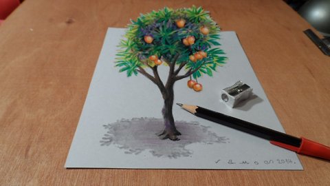 How to draw a 3D mango tree