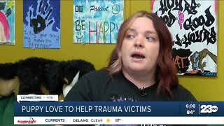 Puppy Love helping trauma patients