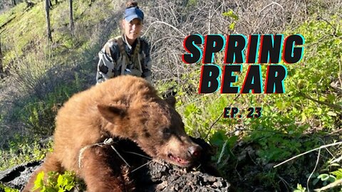 Bear Hunting - Spring Bear 2023 - Marksman's Creed Ep. 23 #blackbear #bearhunting #hunting