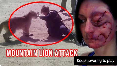 Mountain Lion Attack, Mountain Lion Encounters Shocking Videos