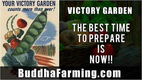 Food Shortages are Coming ~ Time to plant a Victory Garden [START NOW!!]