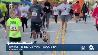2nd annual Barky Pines Animal Rescue 5K held in Royal Palm Beach