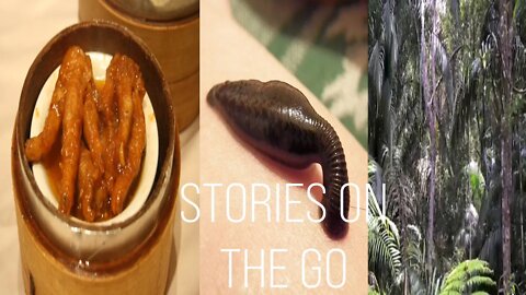 Unique Food, Leeches, and Getting To the Pa'Lungan Tribe | Stories On The Go #2