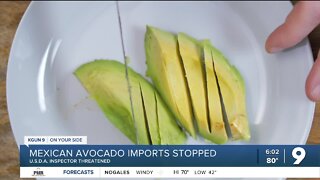 Avocado imports from Mexico on hold