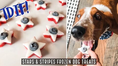 Homemade Stars & Stripes Frozen Dog Treats for the 4th of July