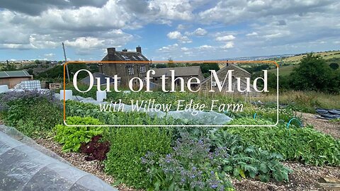 Starting a small farm on an acre without any experience!! - Out of the Mud with Willow Edge Farm