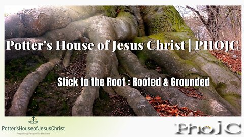 The Potter's House of Jesus Christ for 10-7-22 : "Stick to the Root : Rooted & Grounded"