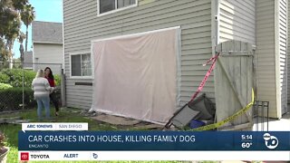 San Diego family displaced after car crashes into home, kills dog