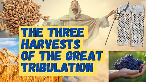 The Three Harvests of the Great Tribulation