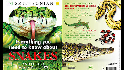 Everything You Need to Know About Snakes