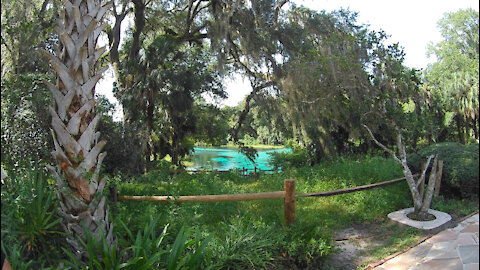 EP. 16 Spray N Wash - Boating on Tampa Bay and a snorkel trip to Rainbow Springs