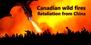Canadian wild fires retaliation from China