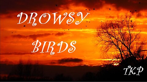 Drowsy Birds | A TKP Original | Lyrics: Mihai Eminescu | Somnoroase Păsărele