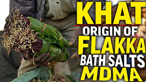 Khat | The Origin of Designer Cathinone Drugs | Flakka MDMA
