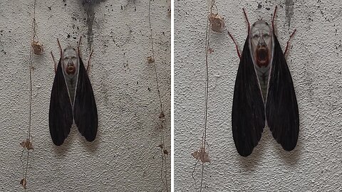 Talented artist draws terrifying insect inspired by classic horror cinema
