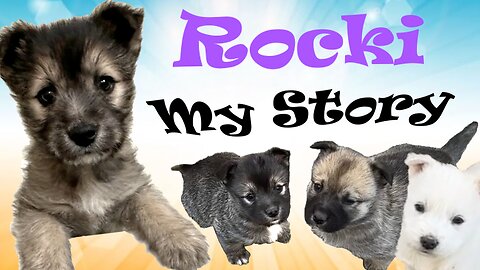 Puppy Rocki Story