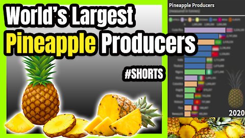 World's Top Pineapple Producers 🍍 📊