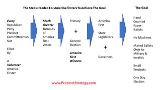 Precinct Strategy Your Save the Republic Local Action Roadmap. Dan Schultz February 24 2023