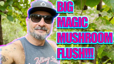 FINDING TONS OF MAGIC MUSHROOMS IN COSTA RICA!