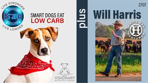 Smart Dogs Eat Low Carb + Cattle Ranching That's Better For The Planet