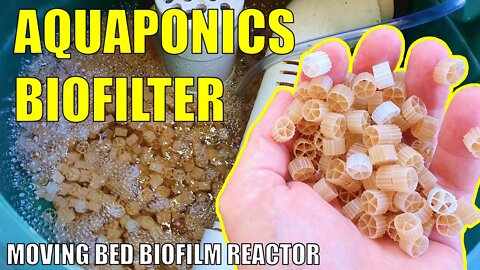 Aquaponics Biofilter | Adding a Moving Bed Biofilm Reactor to the Aquaponics System