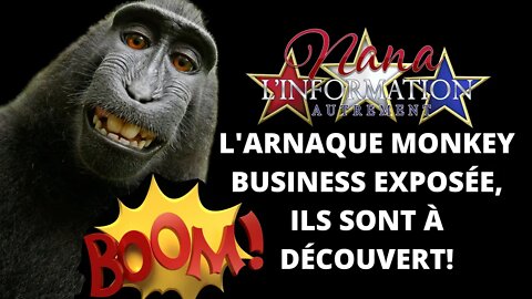 Nana l'information Autrement - MONKEY BUSINESS - TOUT EST LÀ!