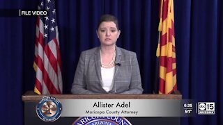Prosecutor: Adel, PHX chiefs approved of protest gang charges