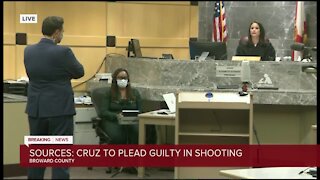 Lawyer says Nikolas Cruz plans to plead guilty