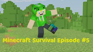 Minecraft Survival 1.17 - Episode 5