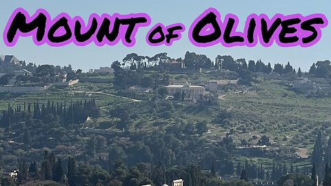 Israel 2023: My Review of the Mount of Olives